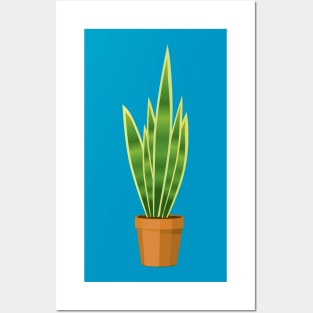 Snake plant in a terracotta pot Posters and Art